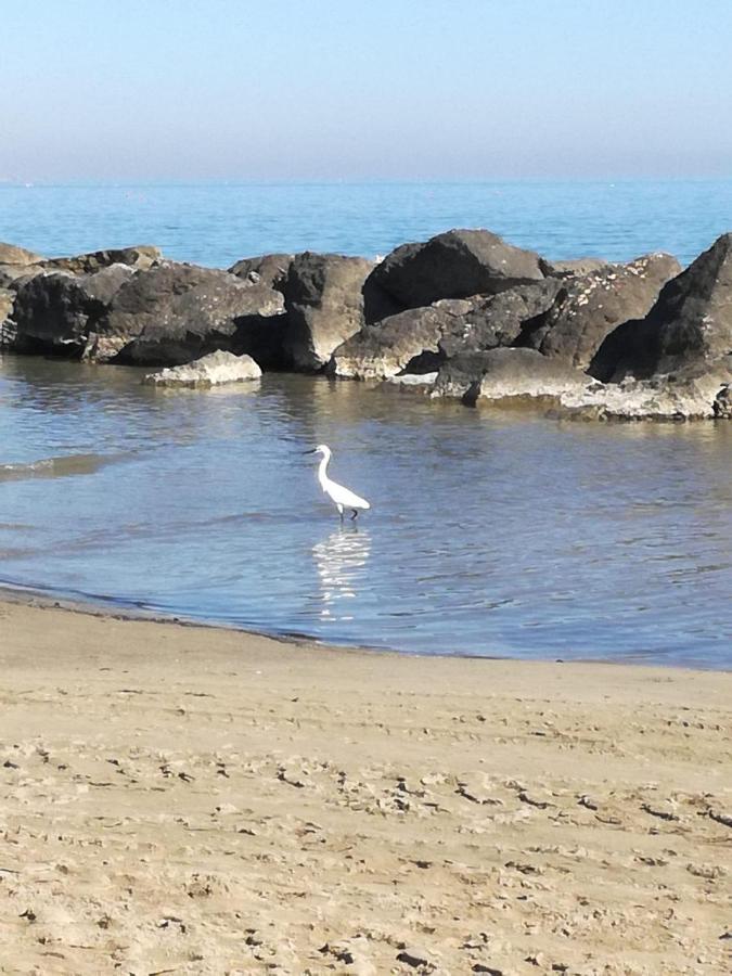 A Casa Minerva Διαμέρισμα Ρίμινι Εξωτερικό φωτογραφία